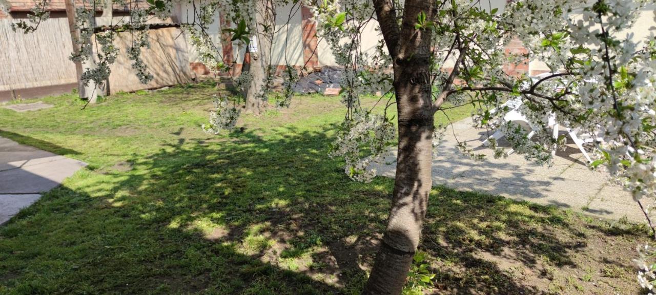 Orsi Apartman / Vendeghaz Kecskemét المظهر الخارجي الصورة