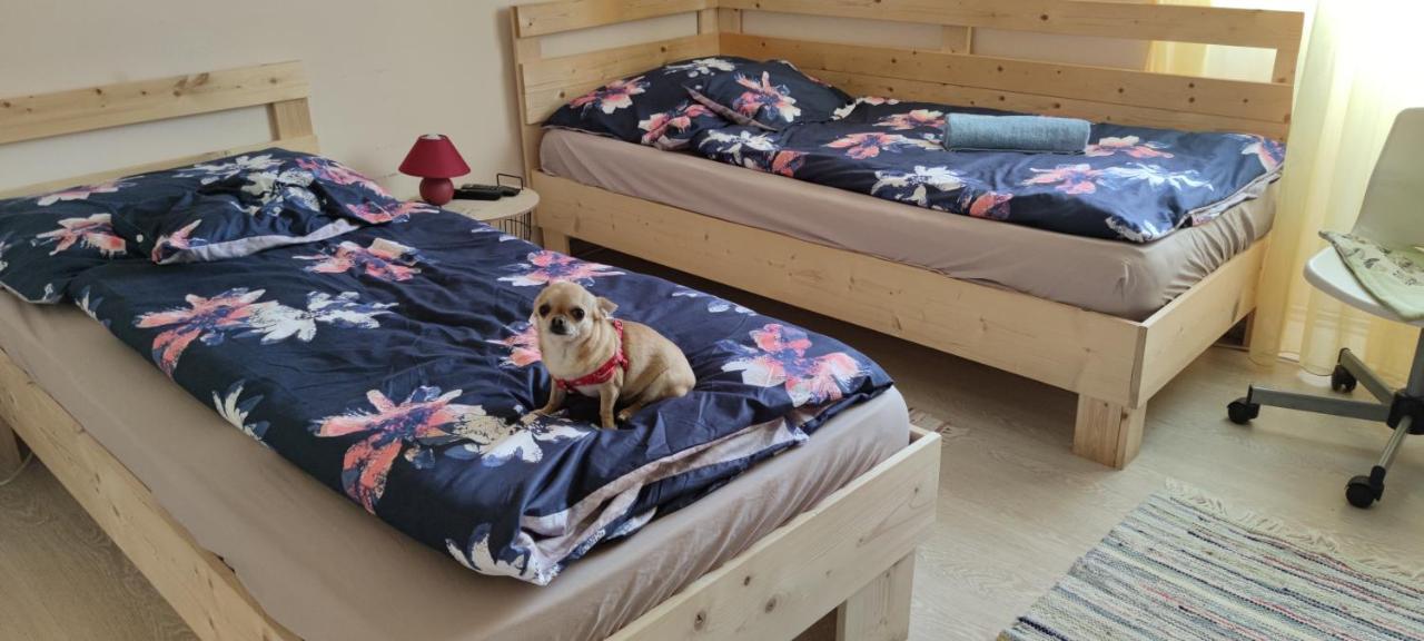 Orsi Apartman / Vendeghaz Kecskemét المظهر الخارجي الصورة